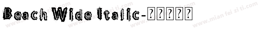 Beach Wide Italic字体转换